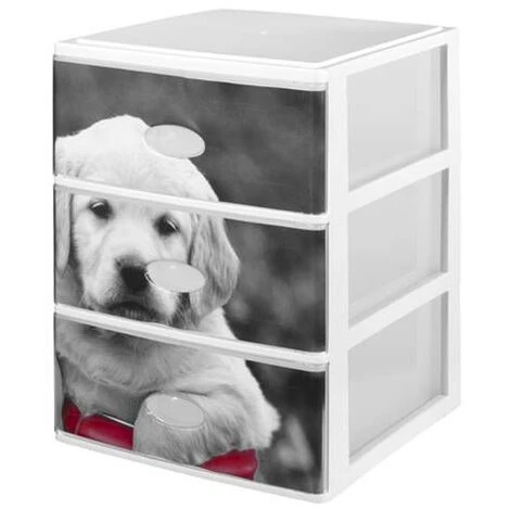 Great Plastic Ensemble De 3 Boîtes En Noir 38 X 37 X 47,3 Cm Avec Des Motifs De Chiens