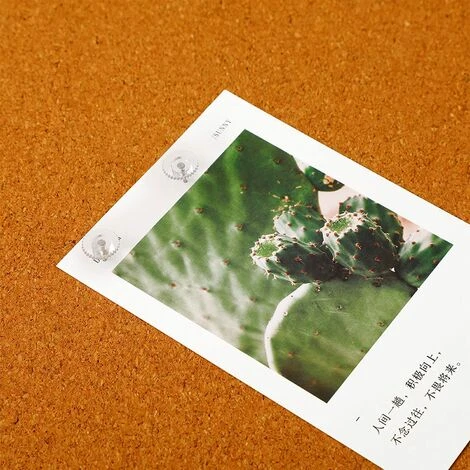 Punaises Transparentes Petites Punaises En Plastique Pointe En Acier Et Punaises à Tête En Plastique Transparent Punaises En Papier Transparent Pour Tableau De Liège50 – Image 5